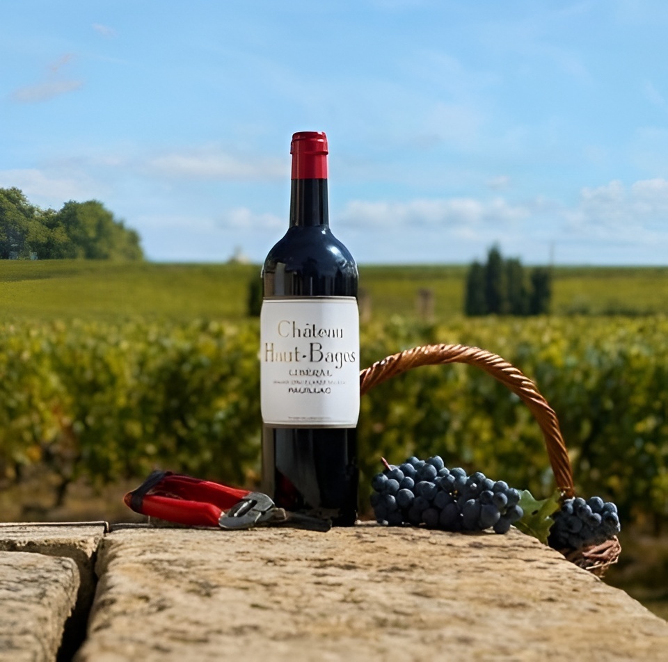 A fresh Cabernet Sauvignon wine bottle with Sauvignon grapes kept on a rocky surface.