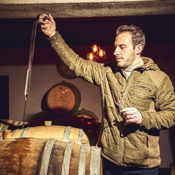 Winemaker using a wine thief to sample aging wine from oak barrels inside a cellar. 