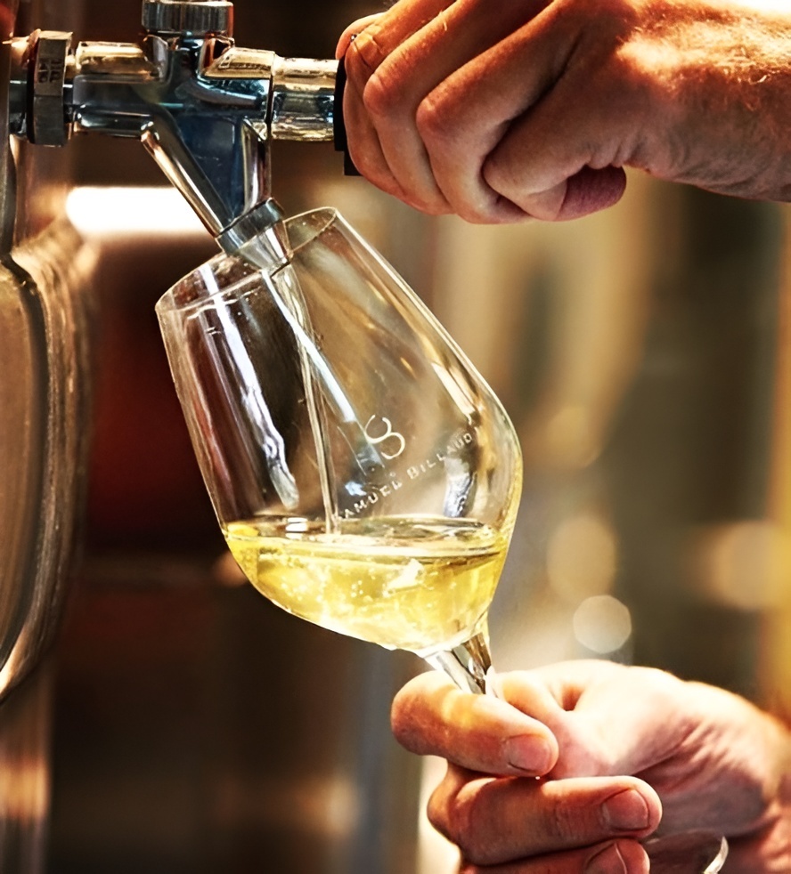  Close-up of a person filling a wine glass labeled "Samuel Billaud" directly from a stainless steel winery tap.