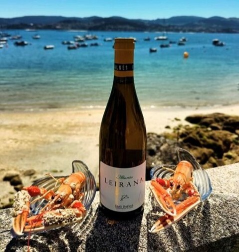 A bottle of 2024 Forjas del Salnés Albariño Rías Baixas Leirana placed on a wall beside a seashore. 