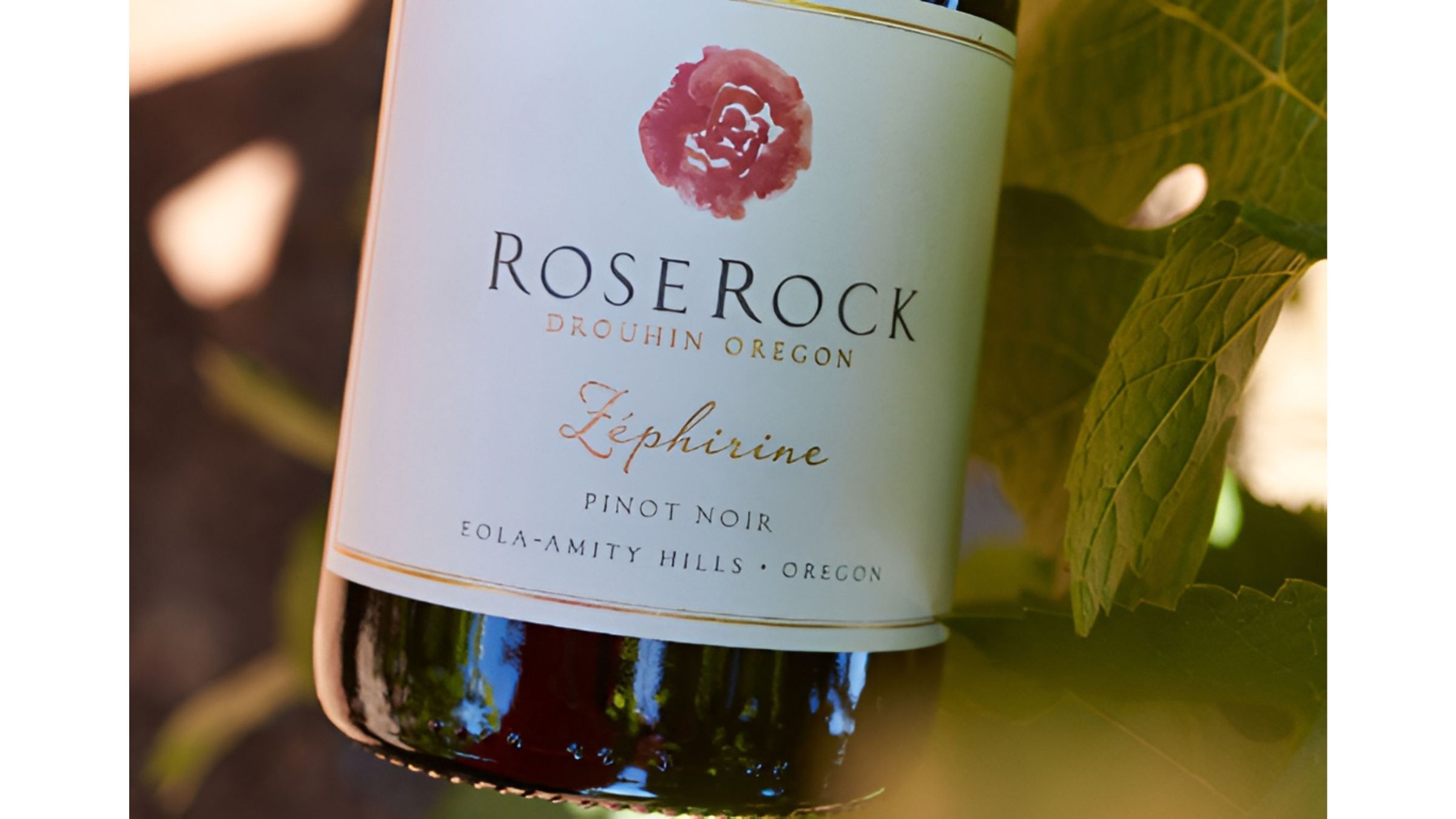 Pinot Noir bottle nestled among leaves, evoking a thoughtful and romantic wine gift available at WHWC.
