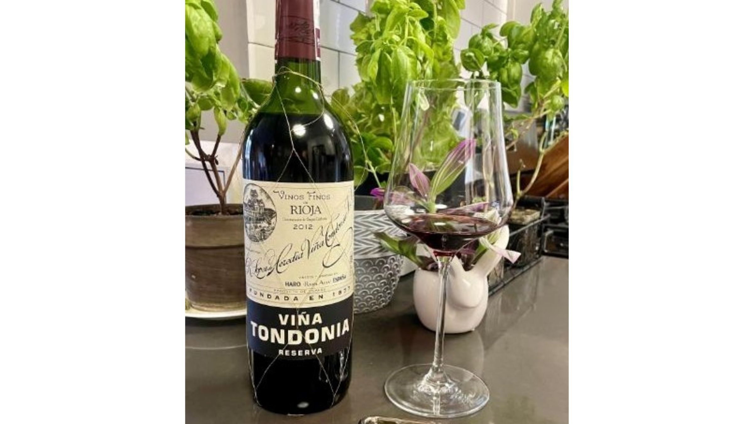 Rioja red wine bottle with a glass, styled among plants for a relaxed at-home wine setting.