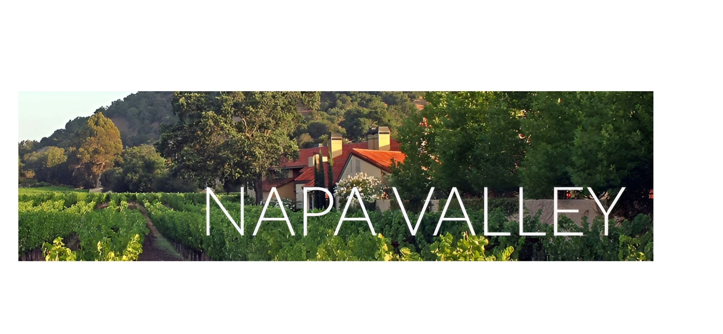  Napa Valley vineyard with hot air balloon and homes, by Woodland Hills Wine Company.