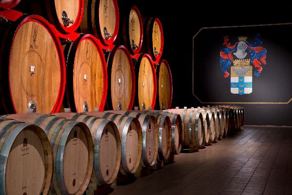 Wine cellar with large wooden barrels, with a family crest on the far wall.